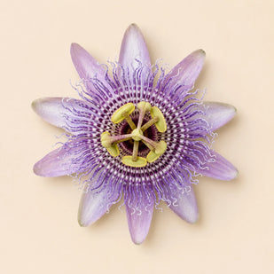 PASSIONFLOWER