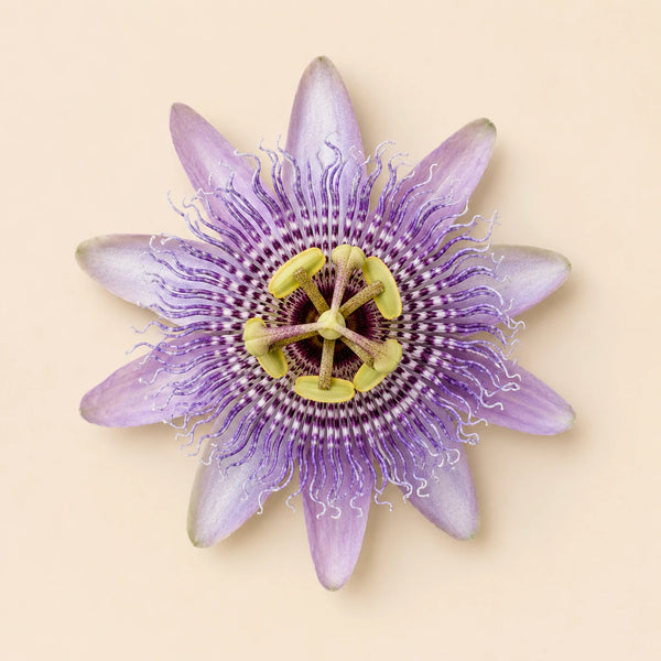 Passionflower